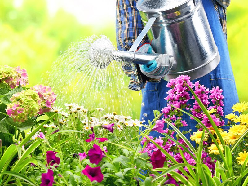 Watering 2. Фото поливки из ведра друг друга.